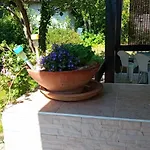Mia Mo