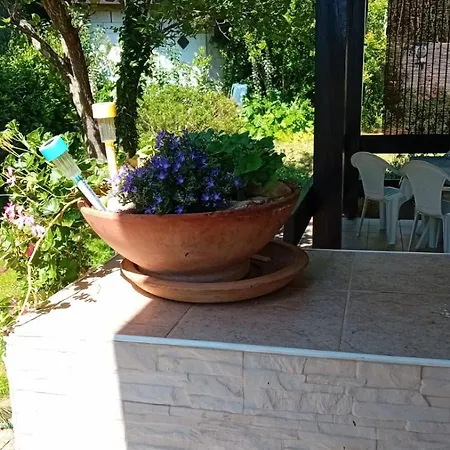 Mia Mo