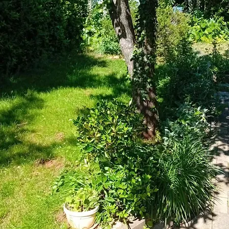 Mia Mo Apartament *